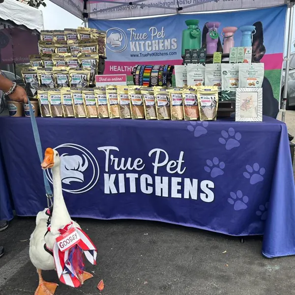A goose in a party hat visiting the booth