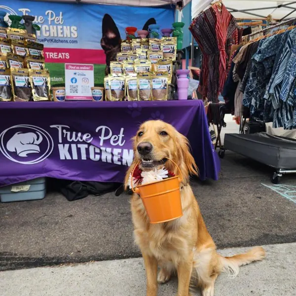 A golden retriever with a True Pet Kitchens treat