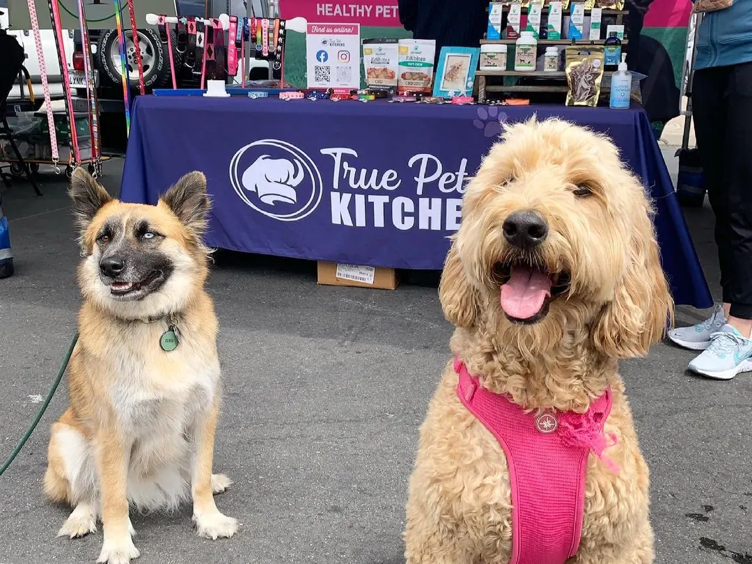 Two dogs visiting the True Pet Kitchens booth at a farmers market